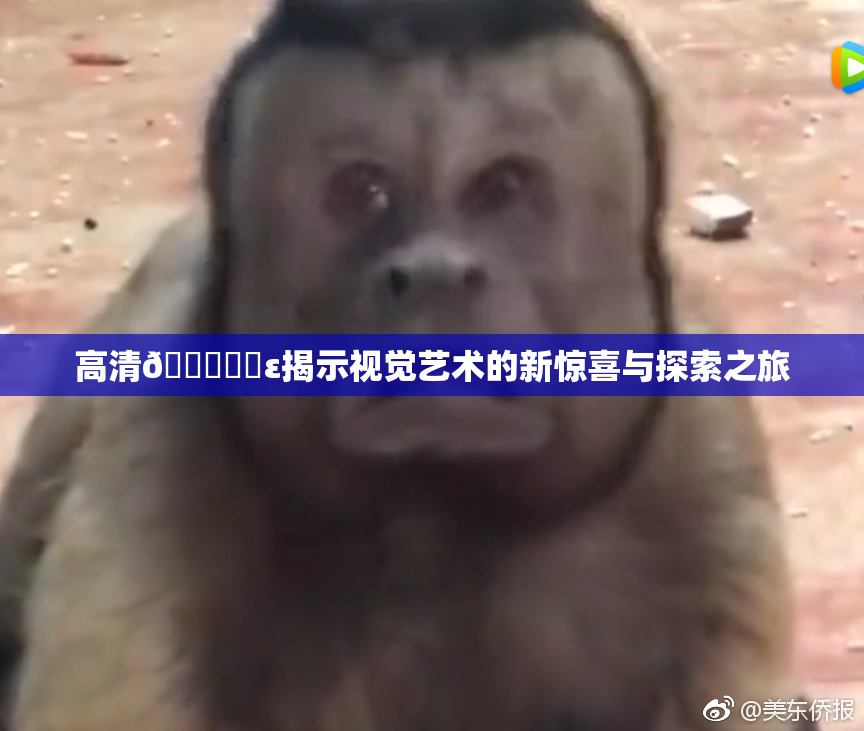 高清🔞❌‌ε揭示视觉艺术的新惊喜与探索之旅