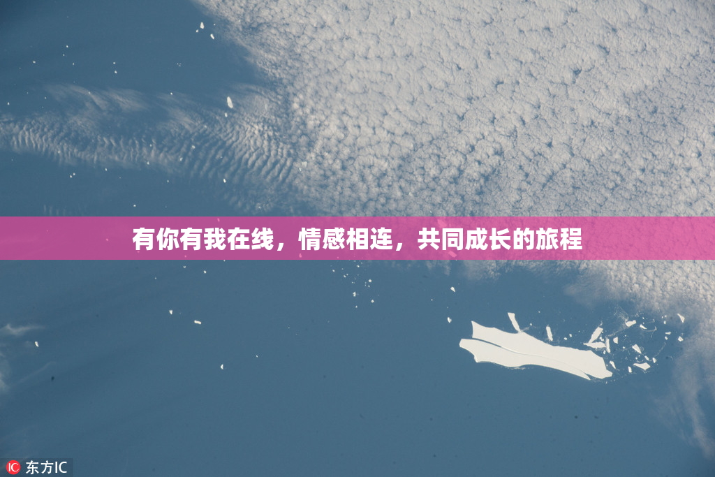 有你有我在线，情感相连，共同成长的旅程