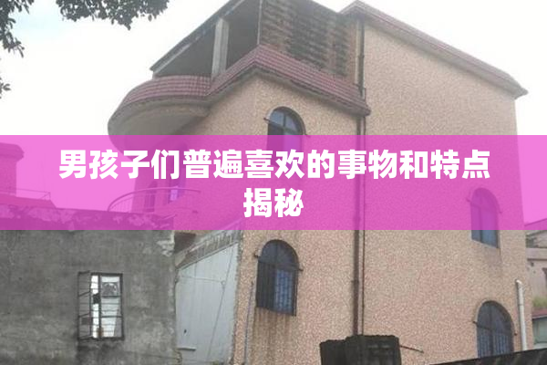 男孩子们普遍喜欢的事物和特点揭秘