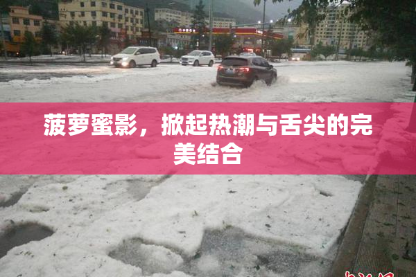 菠萝蜜影，掀起热潮与舌尖的完美结合