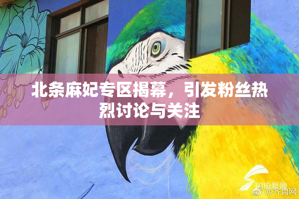 北条麻妃专区揭幕，引发粉丝热烈讨论与关注
