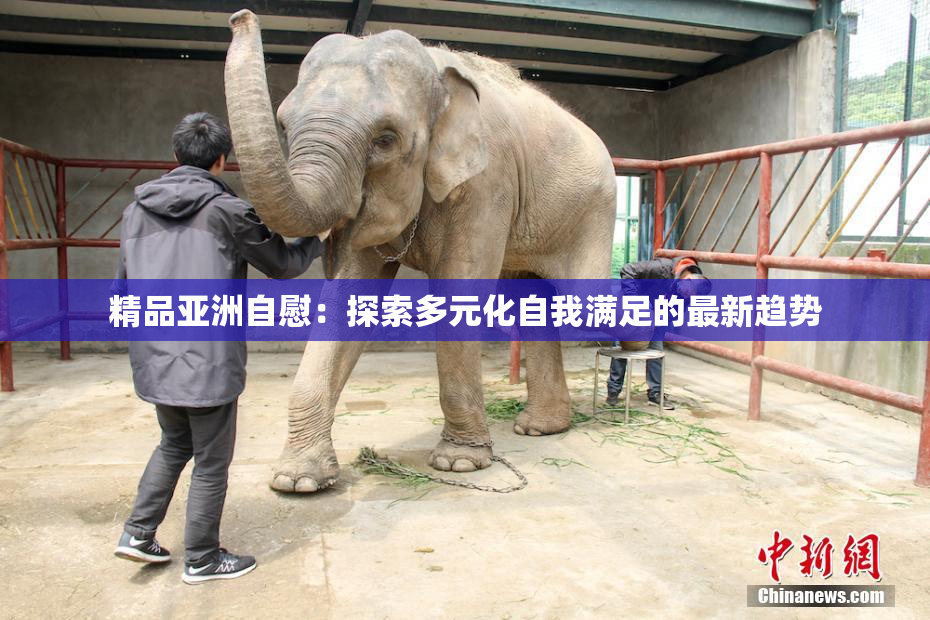 精品亚洲自慰：探索多元化自我满足的最新趋势