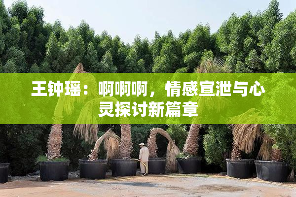 王钟瑶：啊啊啊，情感宣泄与心灵探讨新篇章