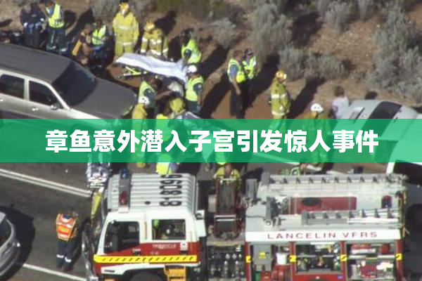 章鱼意外潜入子宫引发惊人事件