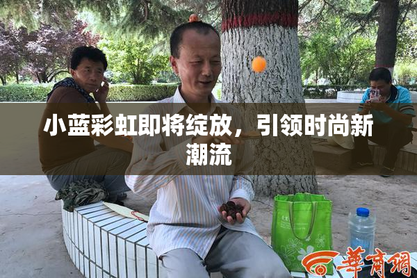 小蓝彩虹即将绽放，引领时尚新潮流