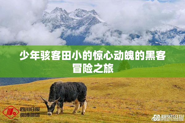 少年骇客田小的惊心动魄的黑客冒险之旅