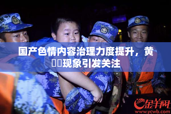 国产色情内容治理力度提升，黄❌‌现象引发关注