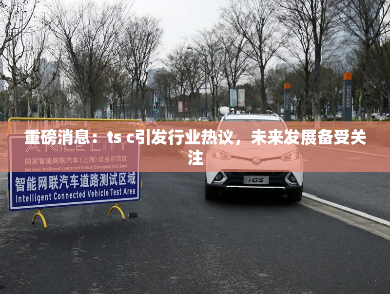 重磅消息：ts c引发行业热议，未来发展备受关注
