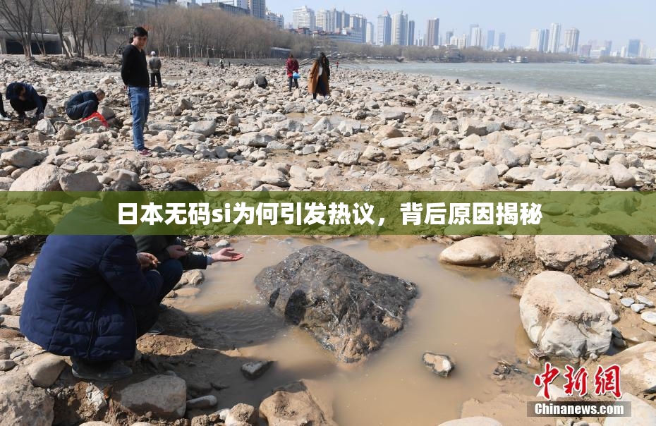 日本无码si为何引发热议，背后原因揭秘
