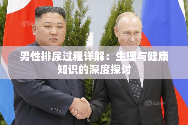 男性排尿过程详解：生理与健康知识的深度探讨