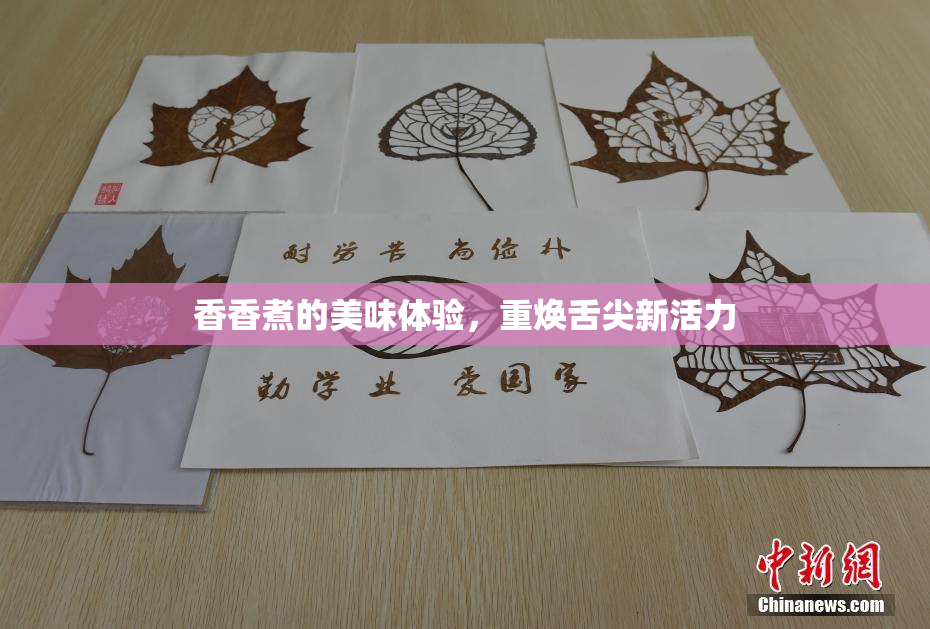 香香煮的美味体验，重焕舌尖新活力