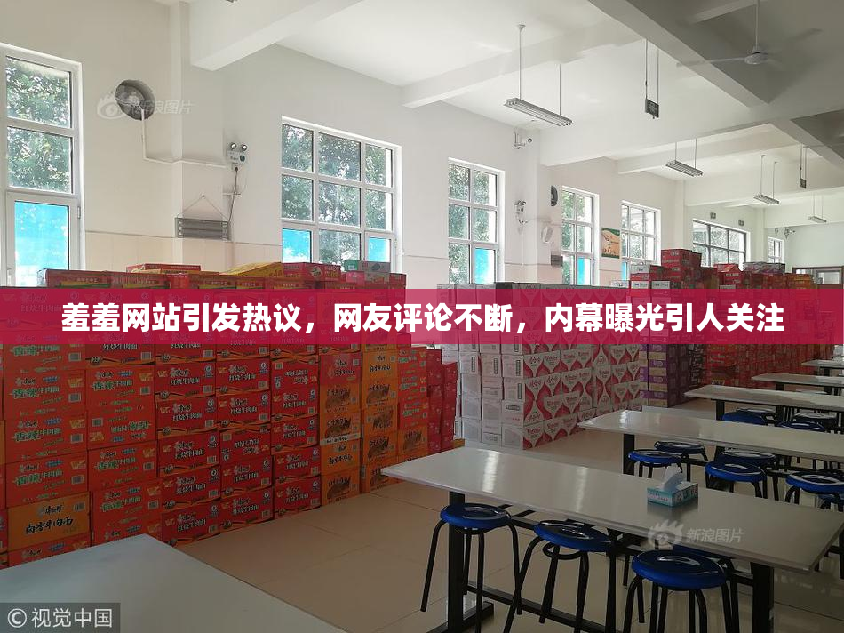 羞羞网站引发热议，网友评论不断，内幕曝光引人关注