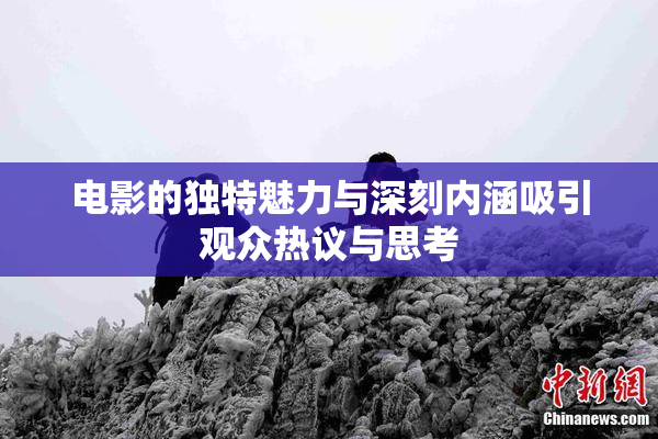 电影的独特魅力与深刻内涵吸引观众热议与思考