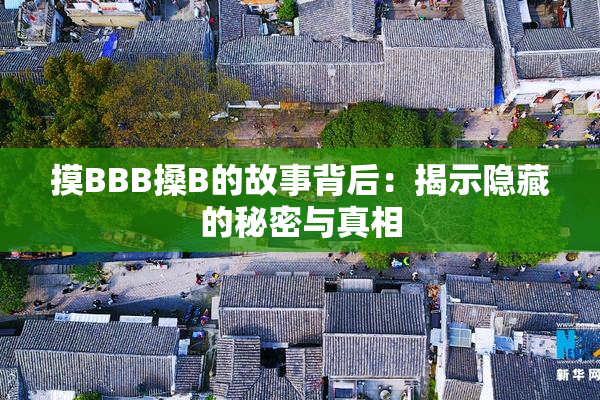 摸BBB搡B的故事背后：揭示隐藏的秘密与真相