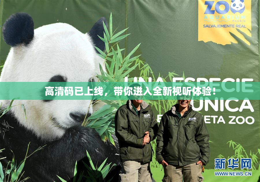 高清码已上线，带你进入全新视听体验！