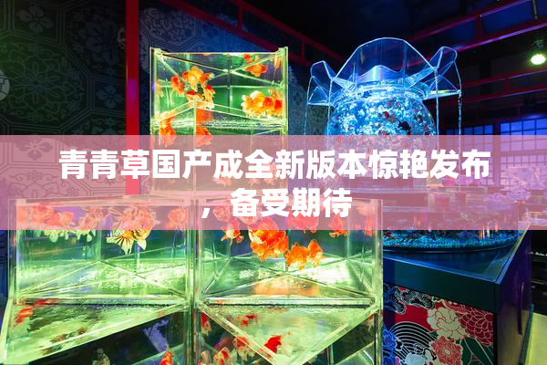 青青草国产成全新版本惊艳发布，备受期待