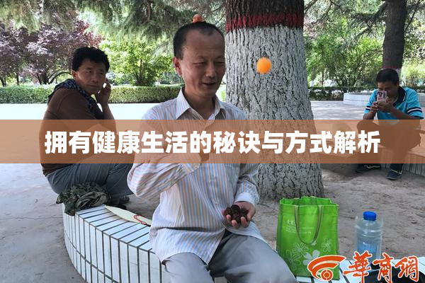 拥有健康生活的秘诀与方式解析