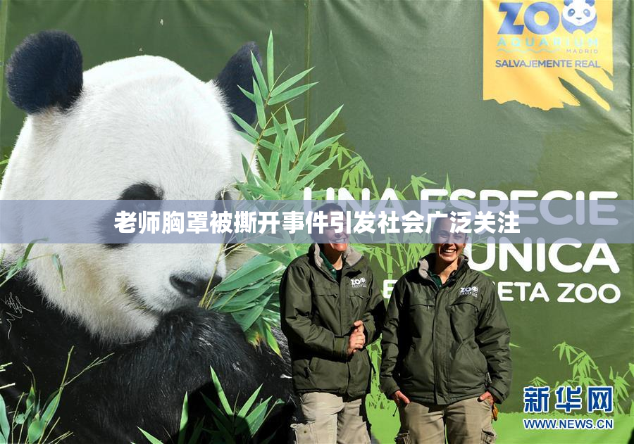 老师胸罩被撕开事件引发社会广泛关注