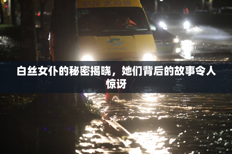 白丝女仆的秘密揭晓，她们背后的故事令人惊讶
