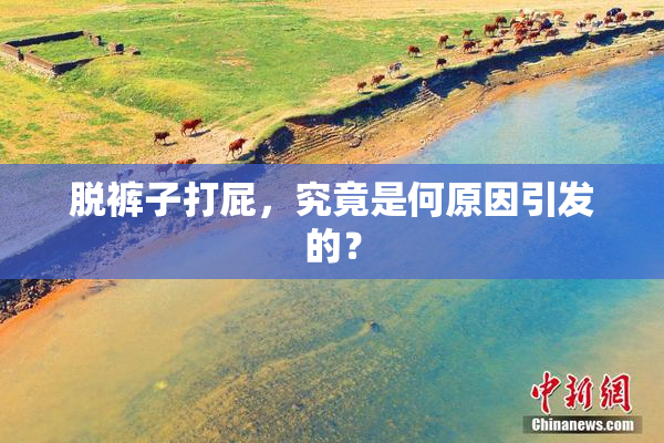 脱裤子打屁，究竟是何原因引发的？