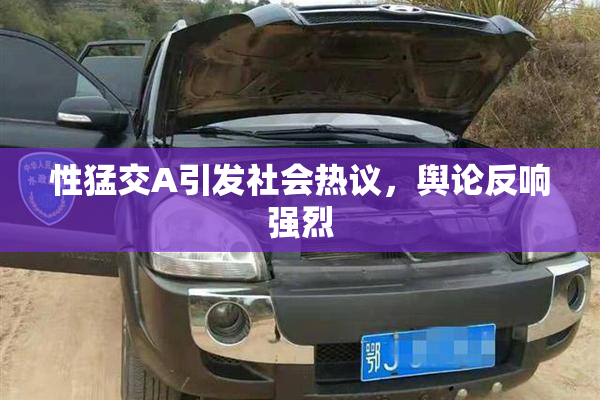 性猛交A引发社会热议，舆论反响强烈