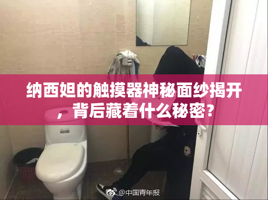 纳西妲的触摸器神秘面纱揭开，背后藏着什么秘密？