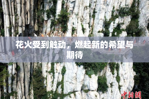 花火受到触动，燃起新的希望与期待