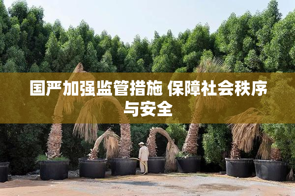 国严加强监管措施 保障社会秩序与安全