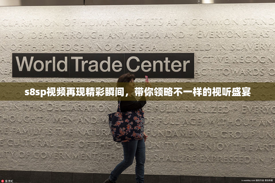s8sp视频再现精彩瞬间，带你领略不一样的视听盛宴