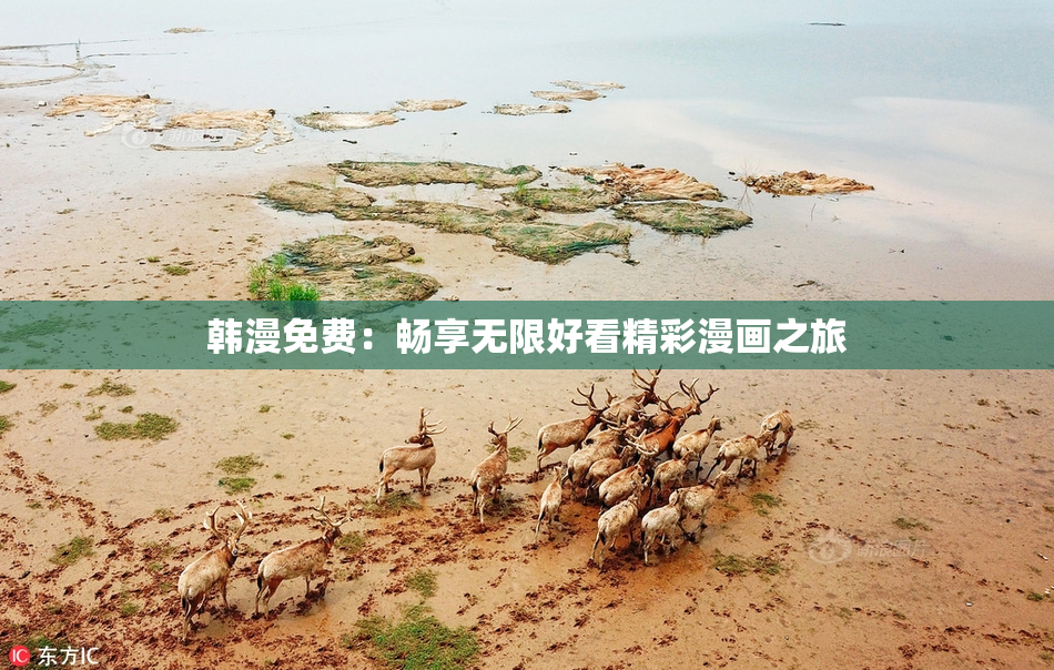 韩漫免费：畅享无限好看精彩漫画之旅