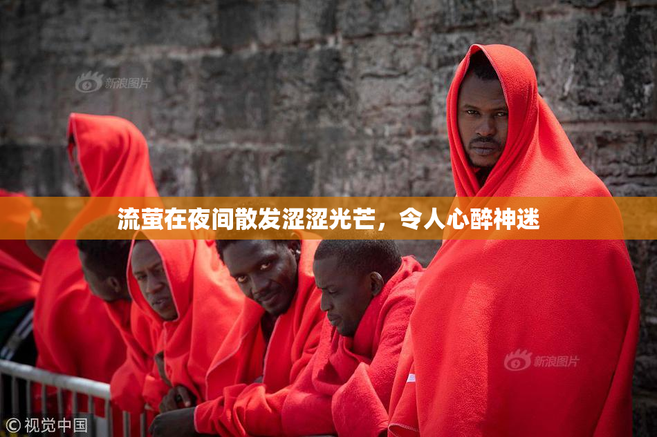 流萤在夜间散发涩涩光芒，令人心醉神迷