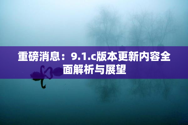 重磅消息：9.1.c版本更新内容全面解析与展望