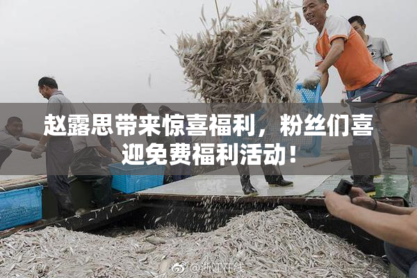 赵露思带来惊喜福利，粉丝们喜迎免费福利活动！