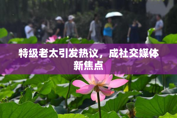 特级老太引发热议，成社交媒体新焦点