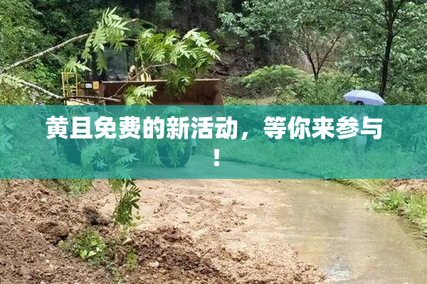 黄且免费的新活动，等你来参与！