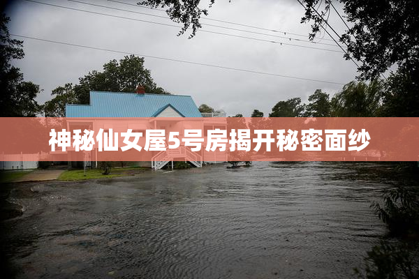 神秘仙女屋5号房揭开秘密面纱