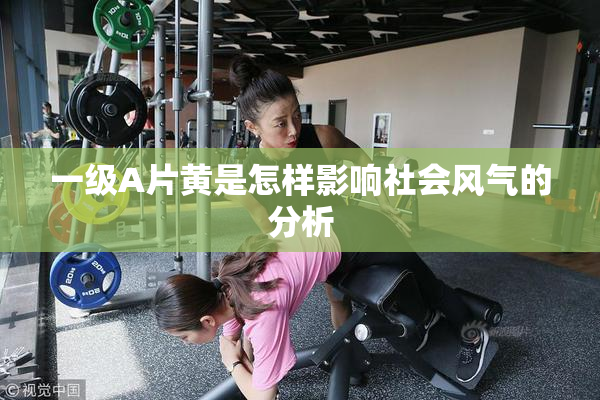一级A片黄是怎样影响社会风气的分析