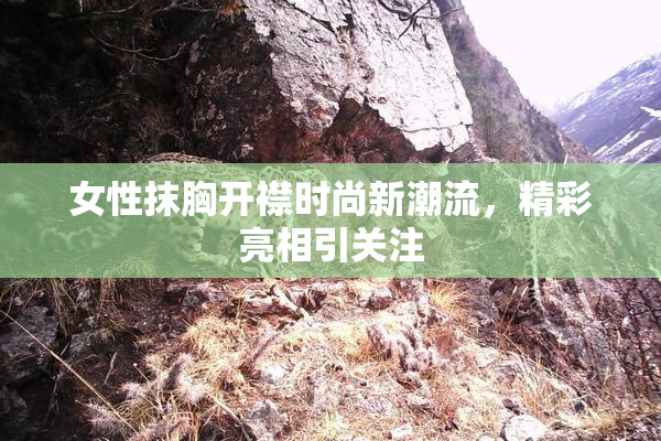 女性抹胸开襟时尚新潮流，精彩亮相引关注