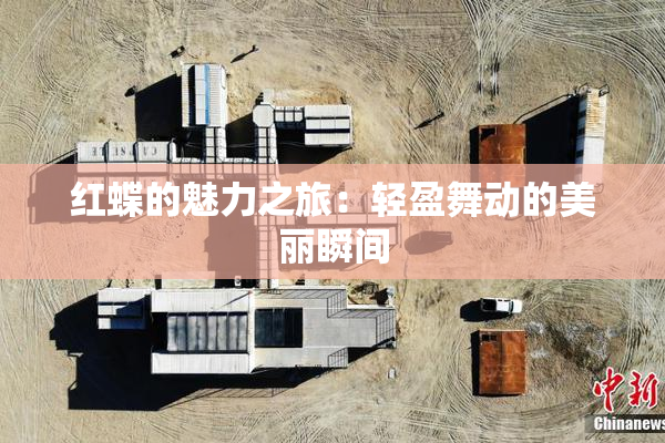 红蝶的魅力之旅：轻盈舞动的美丽瞬间