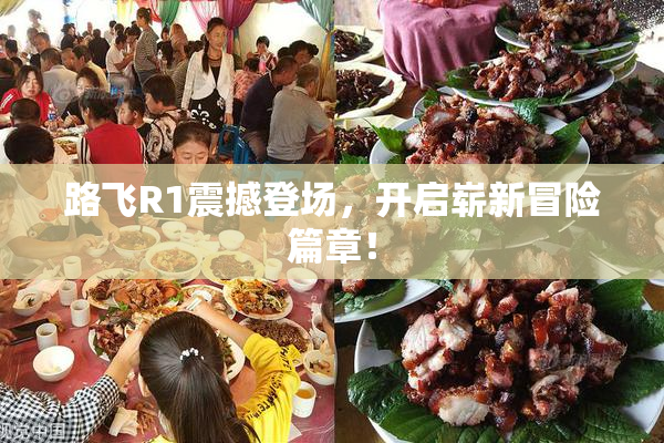 路飞R1震撼登场，开启崭新冒险篇章！