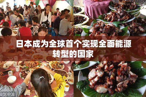 日本成为全球首个实现全面能源转型的国家