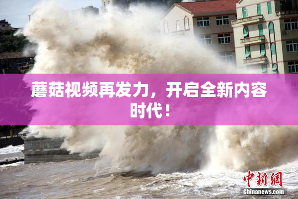 蘑菇视频再发力，开启全新内容时代！