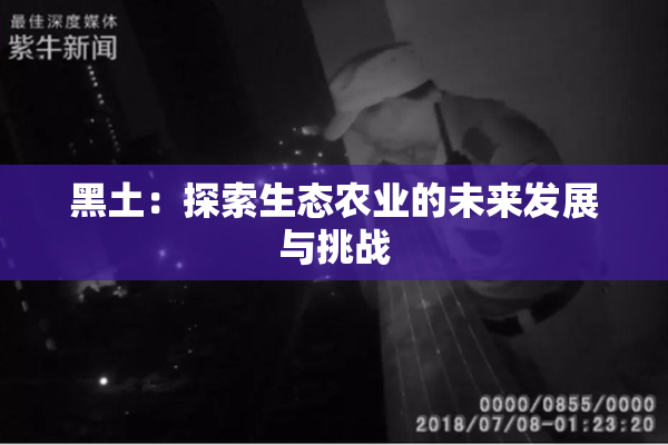 黑土：探索生态农业的未来发展与挑战