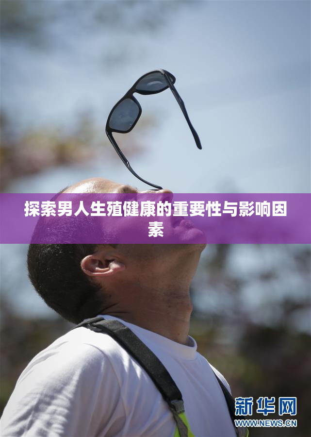 探索男人生殖健康的重要性与影响因素