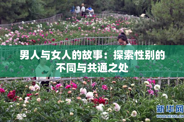 男人与女人的故事：探索性别的不同与共通之处