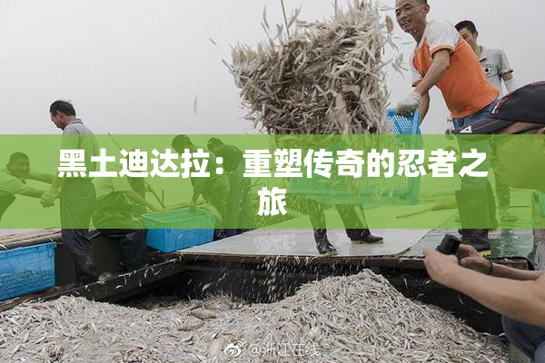 黑土迪达拉：重塑传奇的忍者之旅