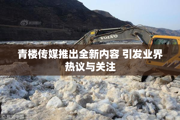 青楼传媒推出全新内容 引发业界热议与关注