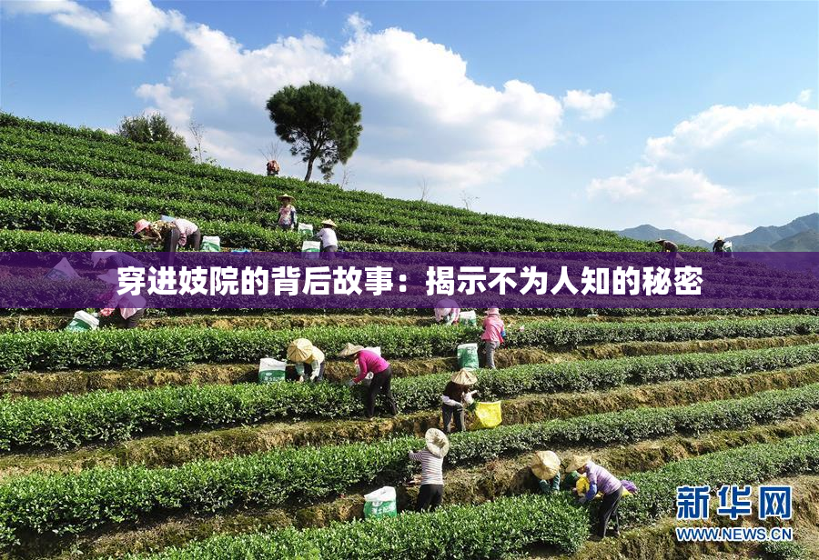 穿进妓院的背后故事：揭示不为人知的秘密