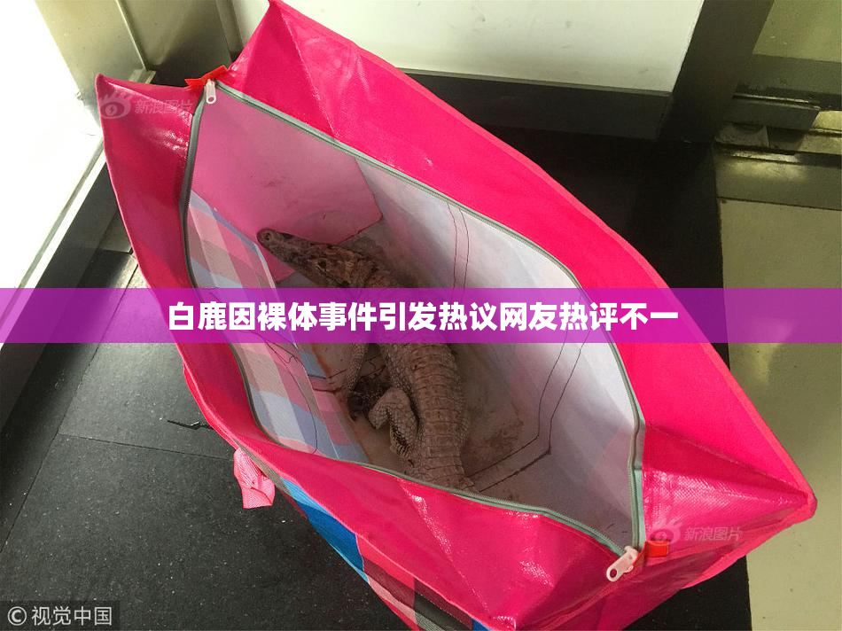 白鹿因裸体事件引发热议网友热评不一