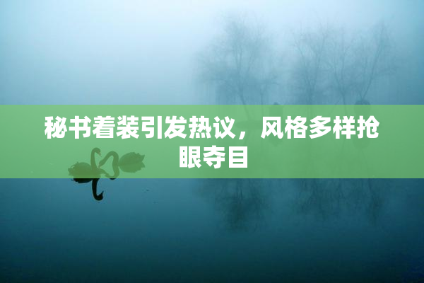 秘书着装引发热议，风格多样抢眼夺目